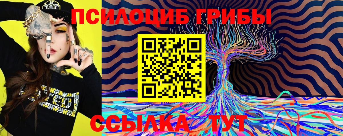 Псилоцибиновые грибы прущие грибы  Псилоцибиновые грибы Magic Shrooms  Вход с VPN  Ульяновск 