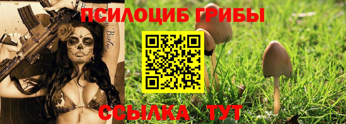 Псилоцибиновые грибы Cubensis Ульяновск